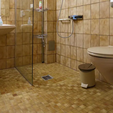 Scholz מלון היטזאקר