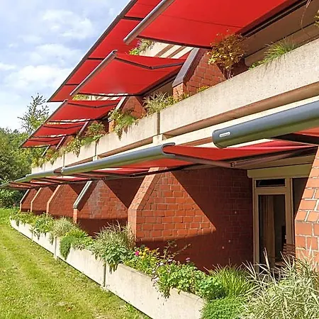 Scholz 3*